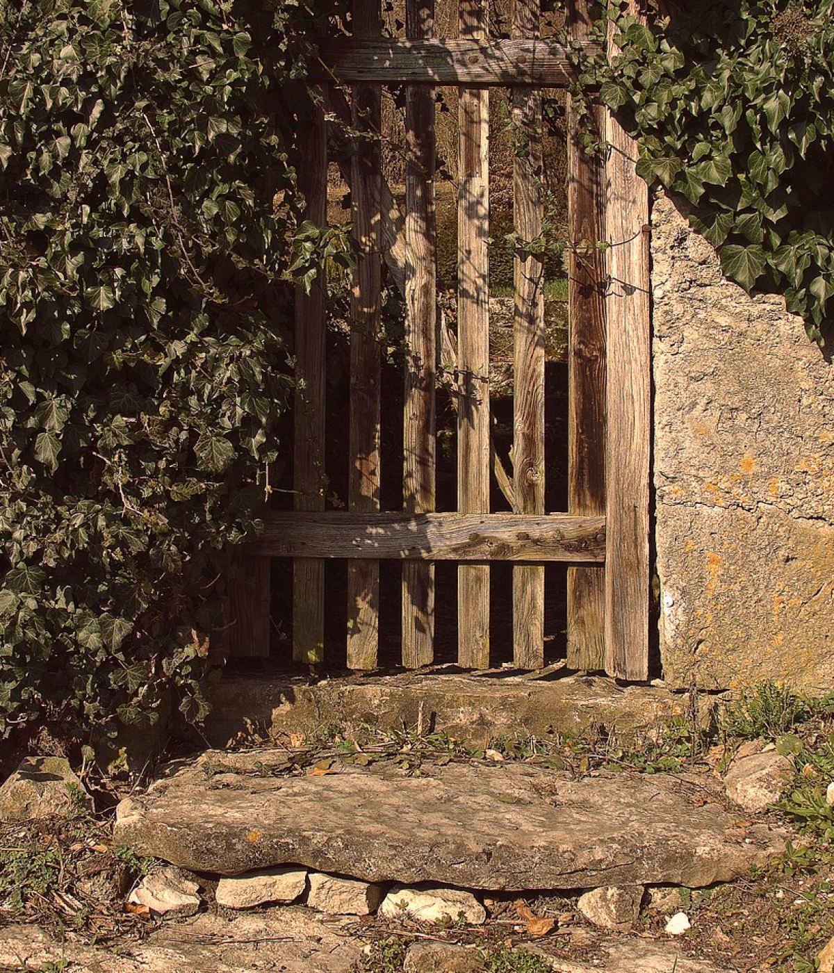 Como preparar um pequeno terreno para horta: guia passo a passo